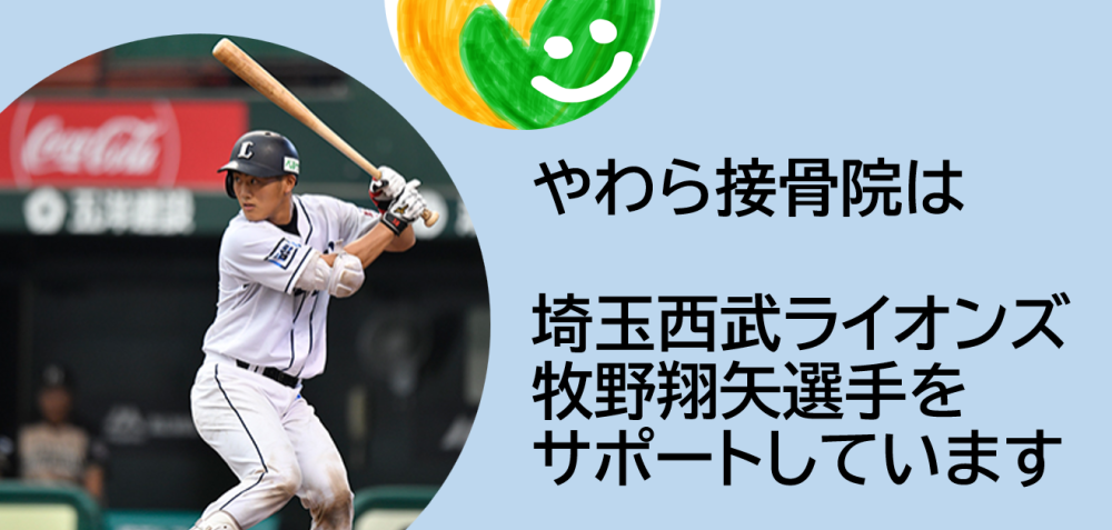 プロ野球選手サポート